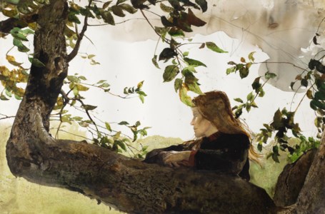 In the Orchard