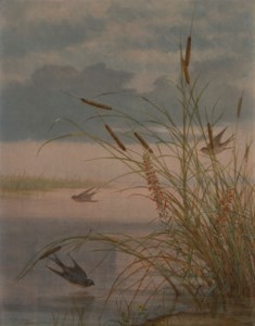 Birds in a Marsh Landscape