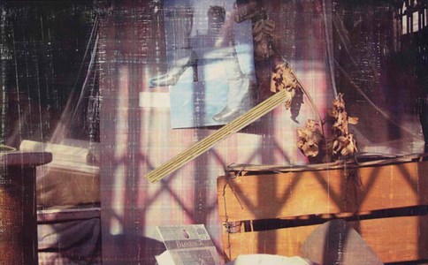 Chapter 10: Ark (Storefront, L.E.S.)