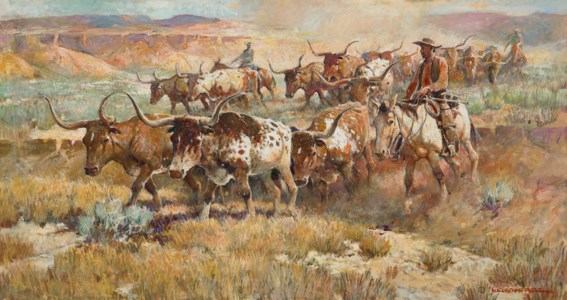 Trailing Longhorns