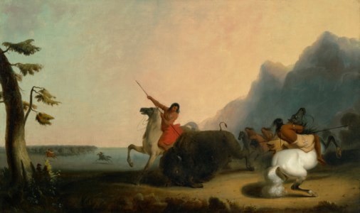 The Buffalo Hunt