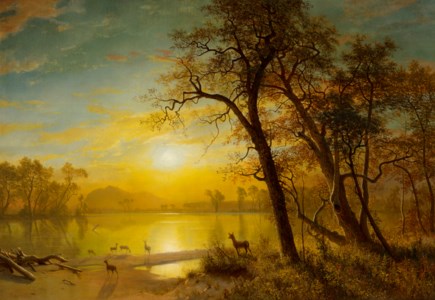 Mountain Lake