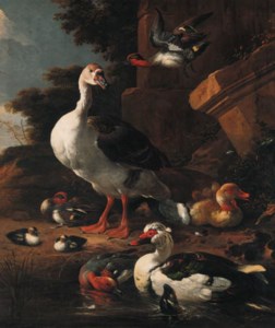 A Chinese goose, an Egyptian goose, a Muscovy duck, a wigeon and teal with other waterfowl by a pond before a pillar in a park