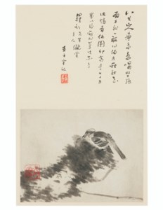 Bird and Rock