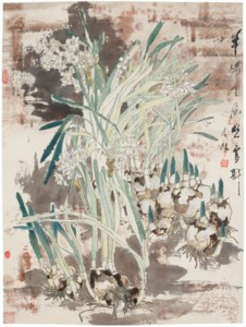 Narcissus