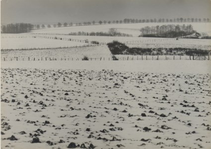 Untitled (Winter landscape), c. 1953