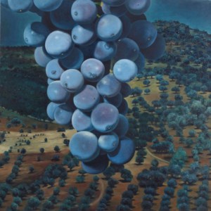 Untitled (Trauben F XXI)