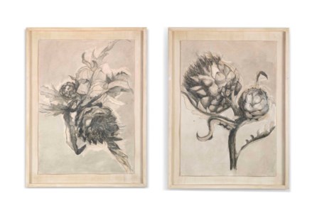 Artichoke studies