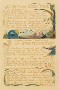 My Pretty ROSE TREE, AH! SUN-FLOWER, THE LILLY, from: Songs of Experience