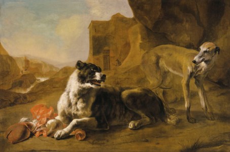 La raison du plus fort: Two dogs fighting over meat