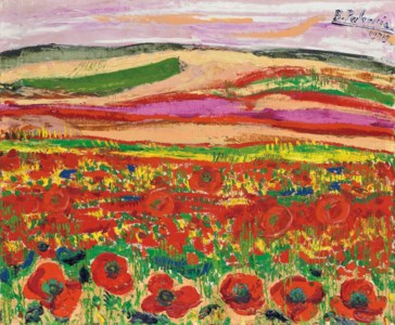 Amapolas