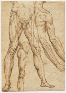 Studies of legs, lower torsos, arms and a shoulder ( recto ); Faint study of a torso and legs ( verso )