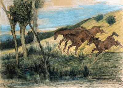 Cavalli in fuga