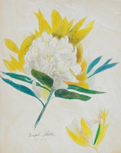 Cactus Flower