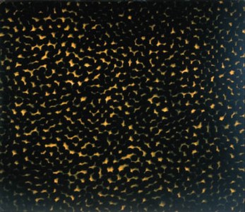 Compression (Density) I.Y.T.B.