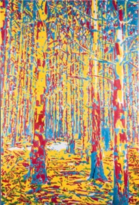 Primary Forest 1