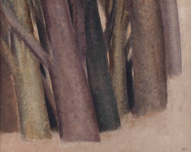 Untitled (from the Tree Trunks series)