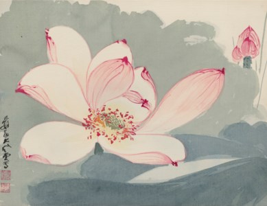 Zhang Da Qian, Pink Lotus Blossoms