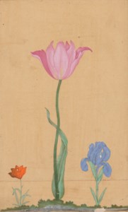 TULIPS AND AN IRIS, MUGHAL INDIA, CIRCA 1640-50