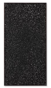 Sans titre (Starfield No. 5)