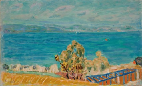 Mer et mimosas