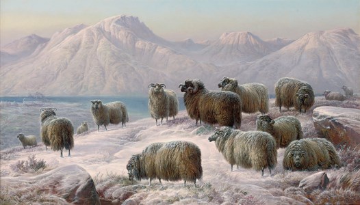 Winter evening in the West Highlands