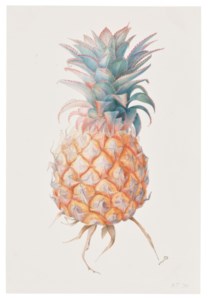 Pineapple 'Queenie'