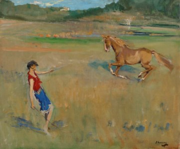 Schooling the Pony