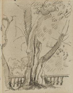Sur la terrasse à Grasse