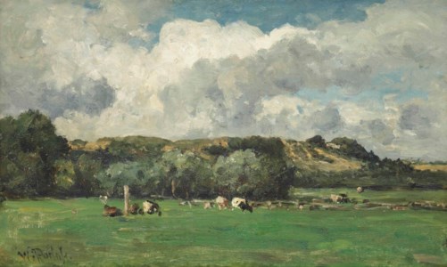 Cows behind the dunes, Bloemendaal