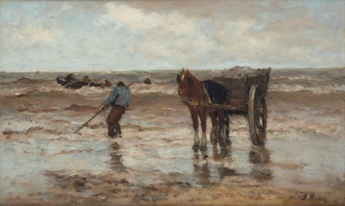 Gathering seaweed