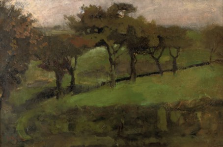 Weilanden met wilgen: willows in a meadow