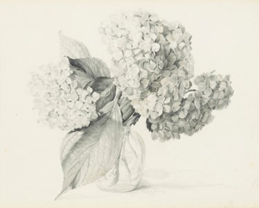 Three floral studies: Hydrangeas in a vase; A pine cone spray; and Mixed bouquet