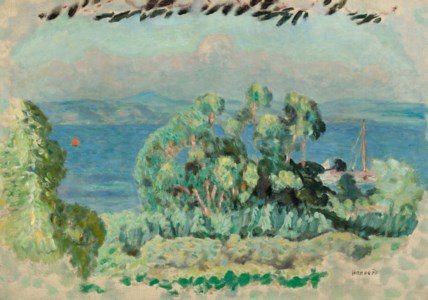 Les eucalyptus