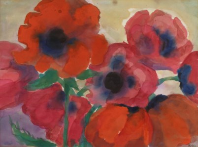 Roter Mohn