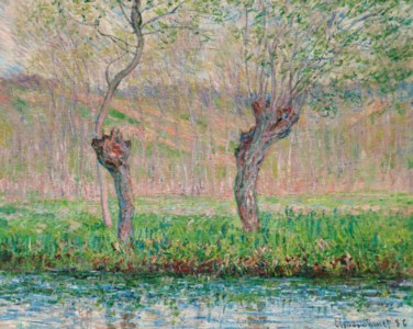 Printemps, saules