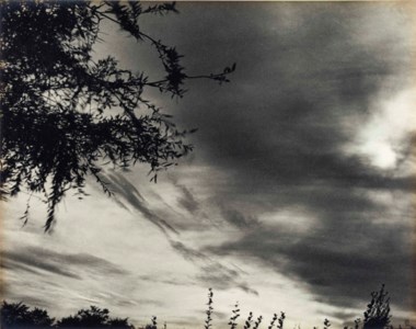Sun, Clouds, Branches, Frankfurt, 1932