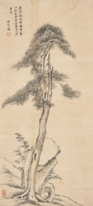 Pine Tree