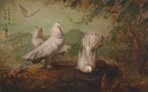 Doves