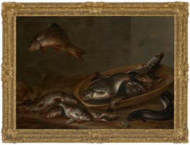 Freshwater fish, an eel and a frog, on a table