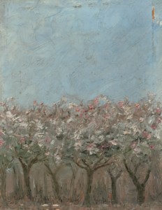 Apple trees in blossom (Blommande äppelträd)