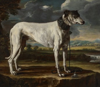 A hound in a landscape