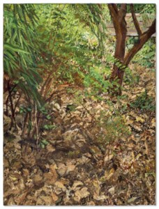 Lucian Freud, Painter's Garden