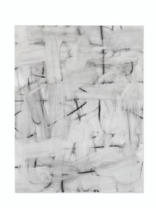 Christopher Wool, Not, Not