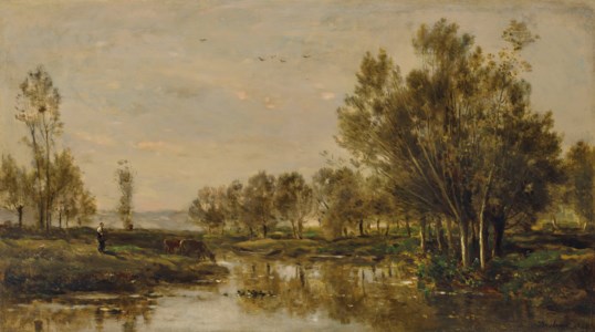 La saulaie
