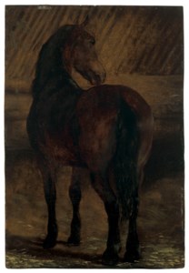 A bay hunter in a stable