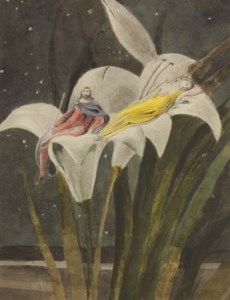 William Blake, Oberon and Titania on a Lily