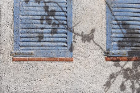 Blue Windows (Shadow Series)