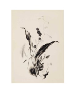 Untitled (Flower and Insect)