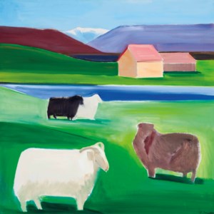 Icelandic landscape with sheep